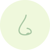 ícone